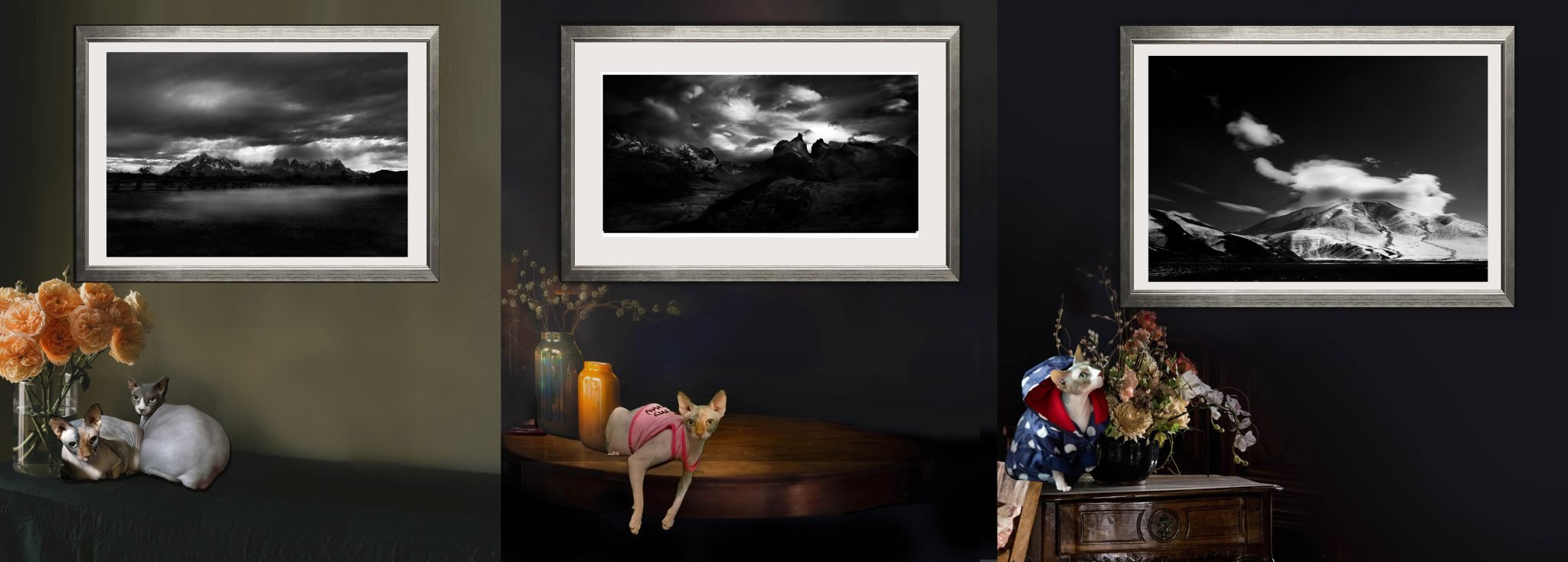 Corporate Art For Business and Offices