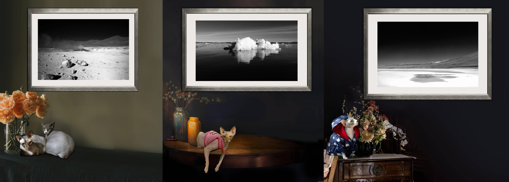 Corporate Art For Business and Offices