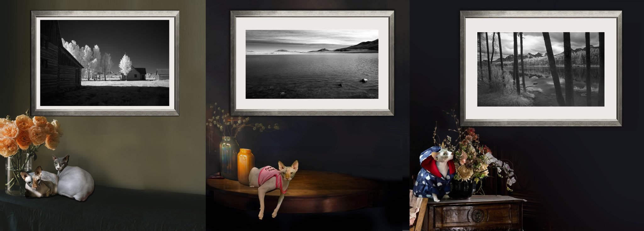 Corporate Art For Business and Offices