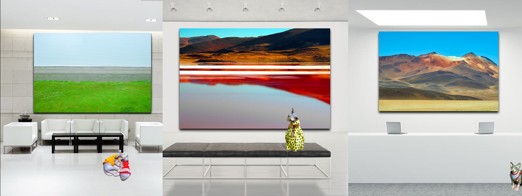 Curated Colour Photography by Dr Zenaidy Castro, General and Cosmetic dentist of Vogue Smiles Melbourne Australia.