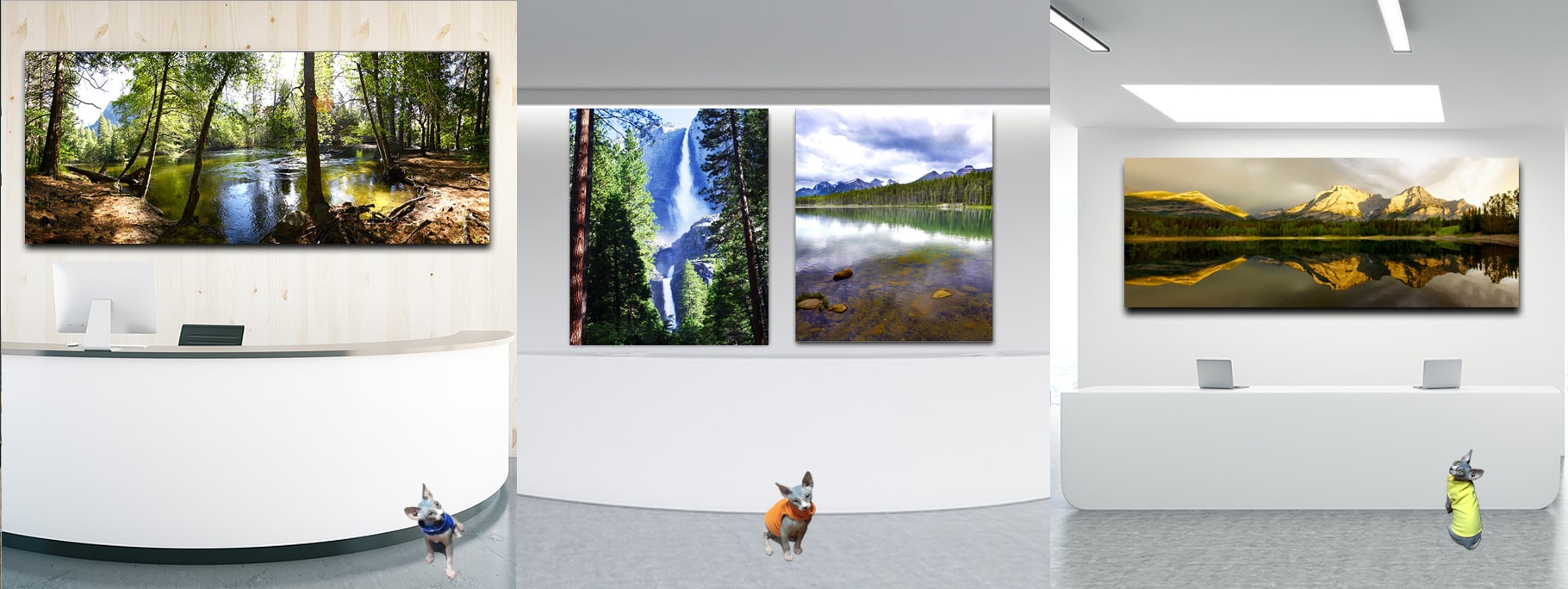 Curated Colour Photography by Dr Zenaidy Castro, General and Cosmetic dentist of Vogue Smiles Melbourne Australia.