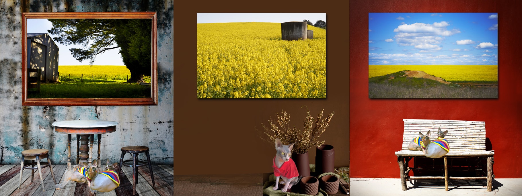 Curated Colour Photography by Dr Zenaidy Castro, General and Cosmetic dentist of Vogue Smiles Melbourne Australia.