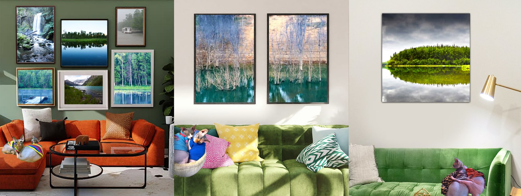 Curated Colour Photography by Dr Zenaidy Castro, General and Cosmetic dentist of Vogue Smiles Melbourne Australia.