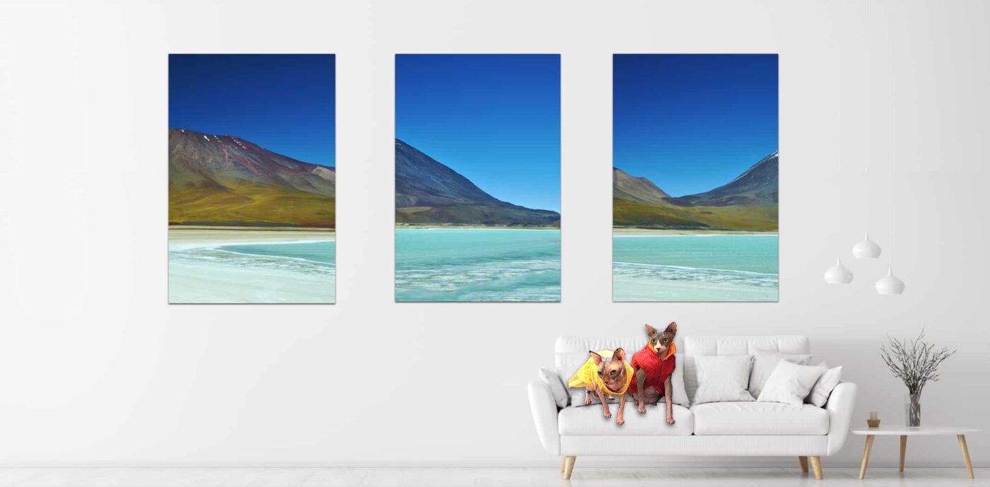 Abstract Photography