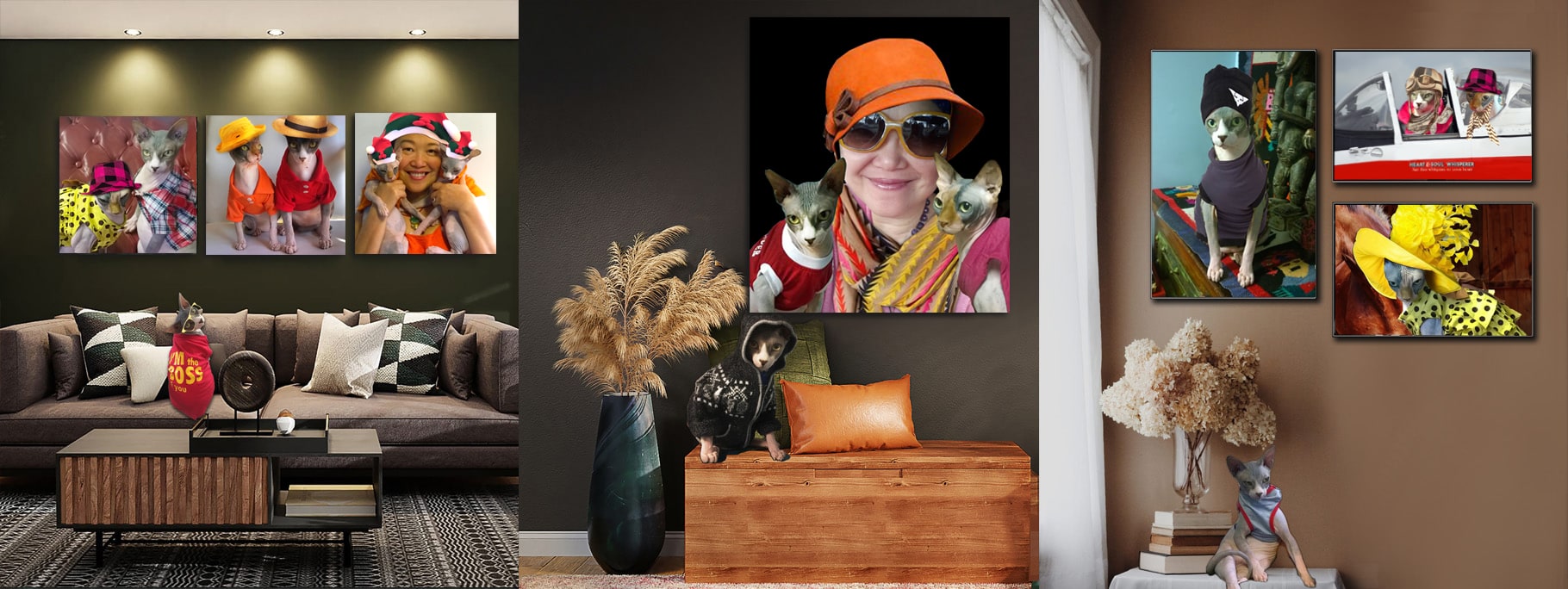 Hairless Cats Sphynx Cats Pet Portraits photos for sale. Cute Hairless Cats Photography by Dr Zenaidy Castro. Fine Art Sphynx Cats Photography by Dr Zenaidy Castro Hairless Cats Sphynx Cats Pet Portraits photos for sale. Cute Hairless Cats Photography by Dr Zenaidy Castro. Fine Art Sphynx Cats Photography by Dr Zenaidy Castro