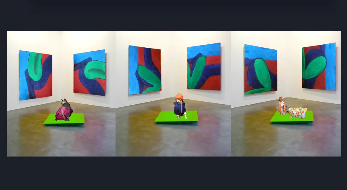 Abstract Wall Art & Prints for sale - Melbourne Art gallery - Heart and Soul Whisperer Art Gallery