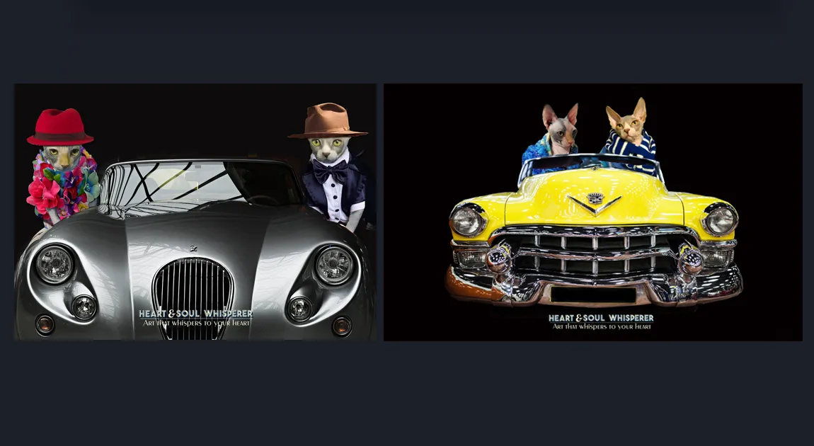 Dr Zenaidy Castro, General and Cosmetic Dentist in Melbourne Australia, Black and White Photographer. Abstract Artist, Australian woman Photographer, Art and Dentistry, Photography and Design, Creative Professionals, Painter-Photographers, Inspiring story of Female Entrepreneurs, 