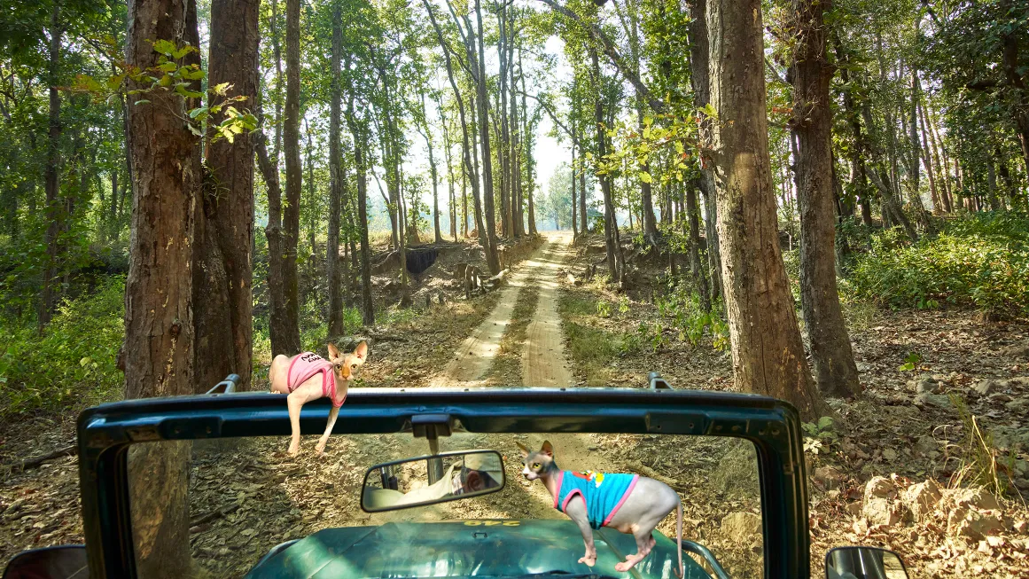 Dr Zenaidy Castro, General and Cosmetic Dentist in Melbourne Australia, Black and White Photographer. Abstract Artist, Australian woman Photographer, Art and Dentistry, Photography and Design, Creative Professionals, Painter-Photographers, Inspiring story of Female Entrepreneurs, 