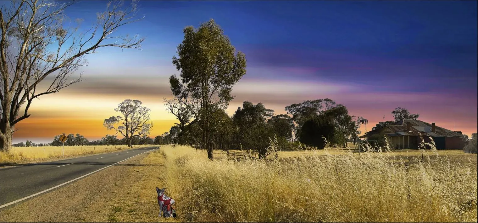 curated Healthcare Art Collection — crafted to inspire serenity and strength.