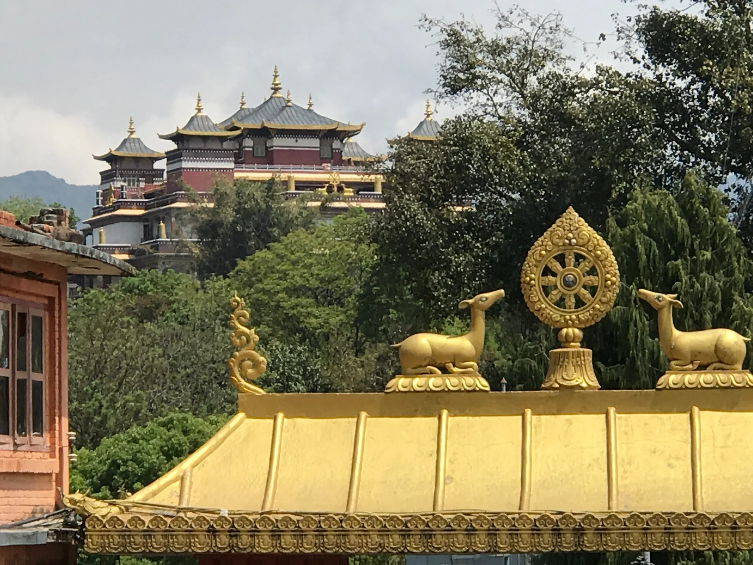 Dental Volunteering work in Kopan Monastery Kathmandu, Buddhist monastery in Kopan