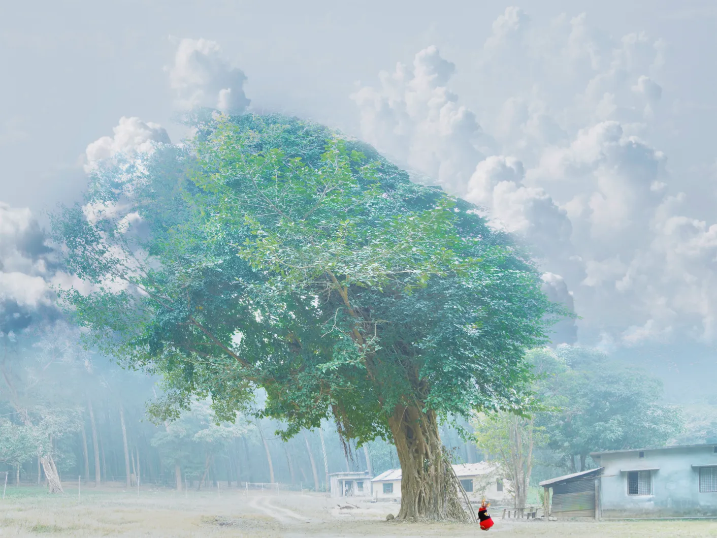 Sphynx Cats in Art Photos for Sale, Sphynx Cats Photos for Sale, Hairless and Bald sphynx cats photos for sale, Cats in Art, Cat photos for sale