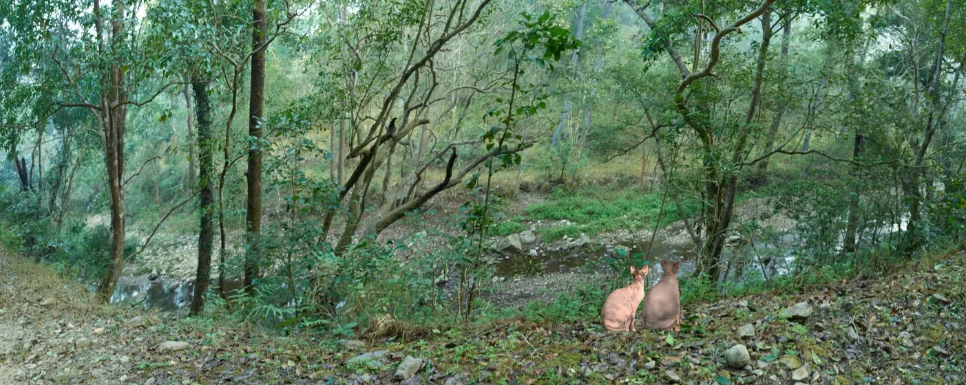 Premium, Luxury, Unique, Original Fine Art Prints of Black and White Country Living -The Simple Life Photographs for sale- online gallery in Melbourne Australia - Heart and Soul Whisperer Art gallery by Cosmetic Dentist Dr Zenaidy Castro