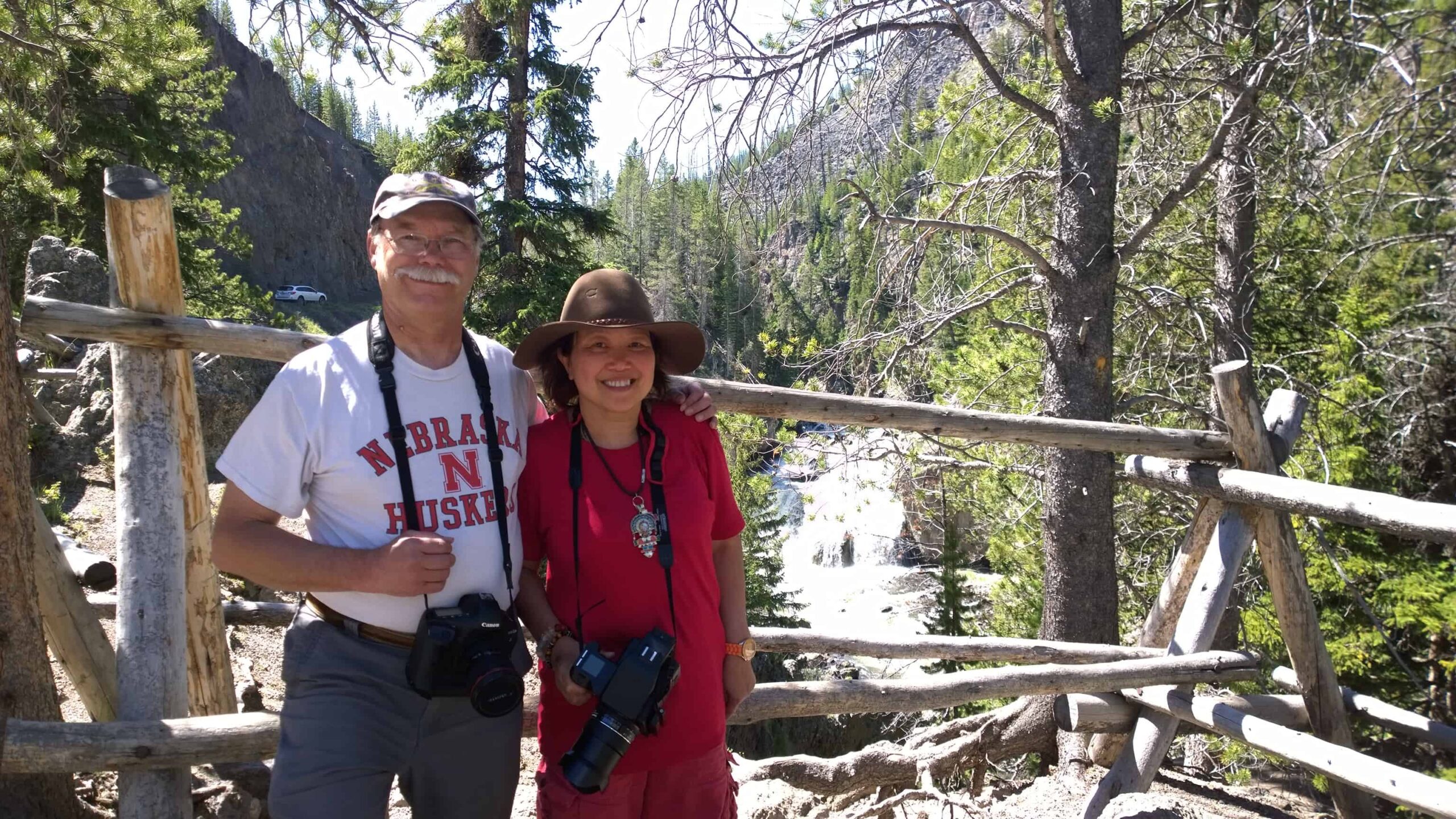 Pryor Mountain Wild Horses, Wild Mustang Center, Pryor Mountain mustang