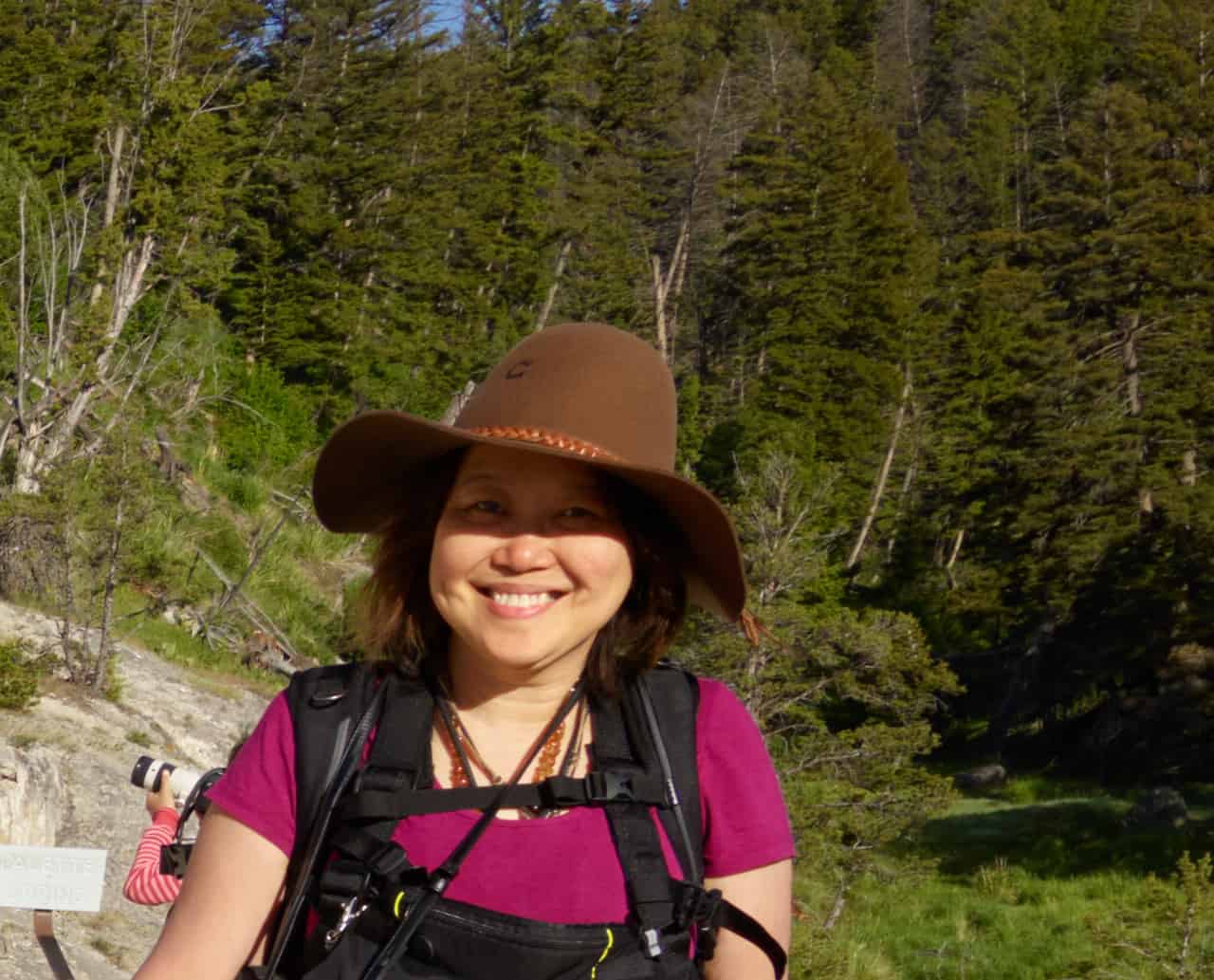 Pryor Mountain Wild Horses, Wild Mustang Center, Pryor Mountain mustang. Travel blogger and globetrotting dentist and photographer Dr Zenaidy Castro