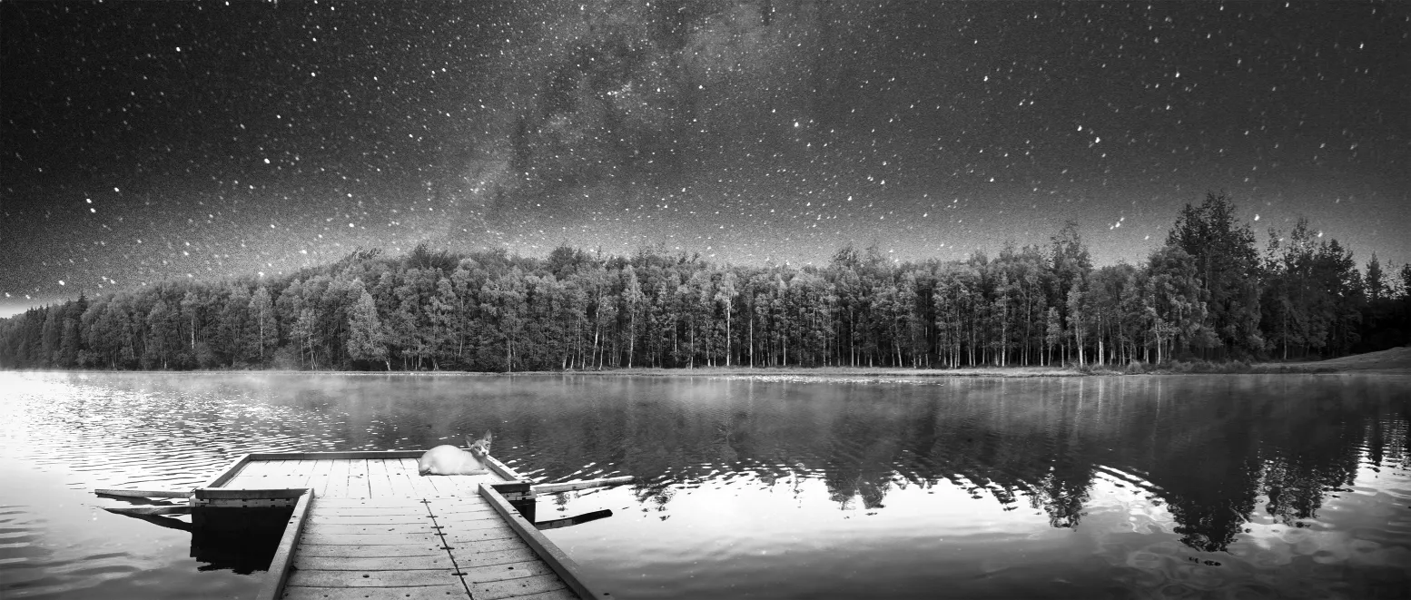 Mark Zuckerberg's Private Art Collections