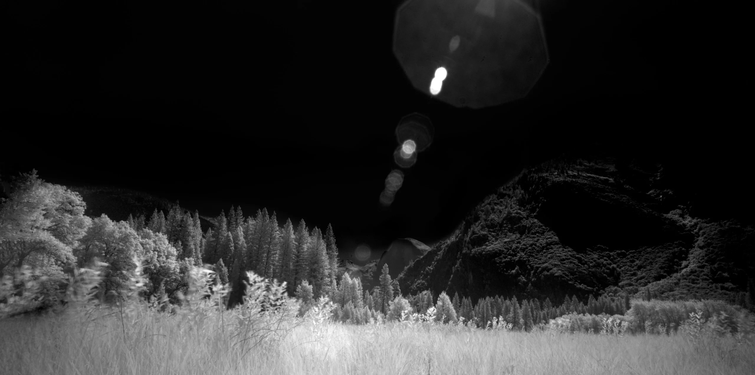 Infrared Photography in Landscape Art