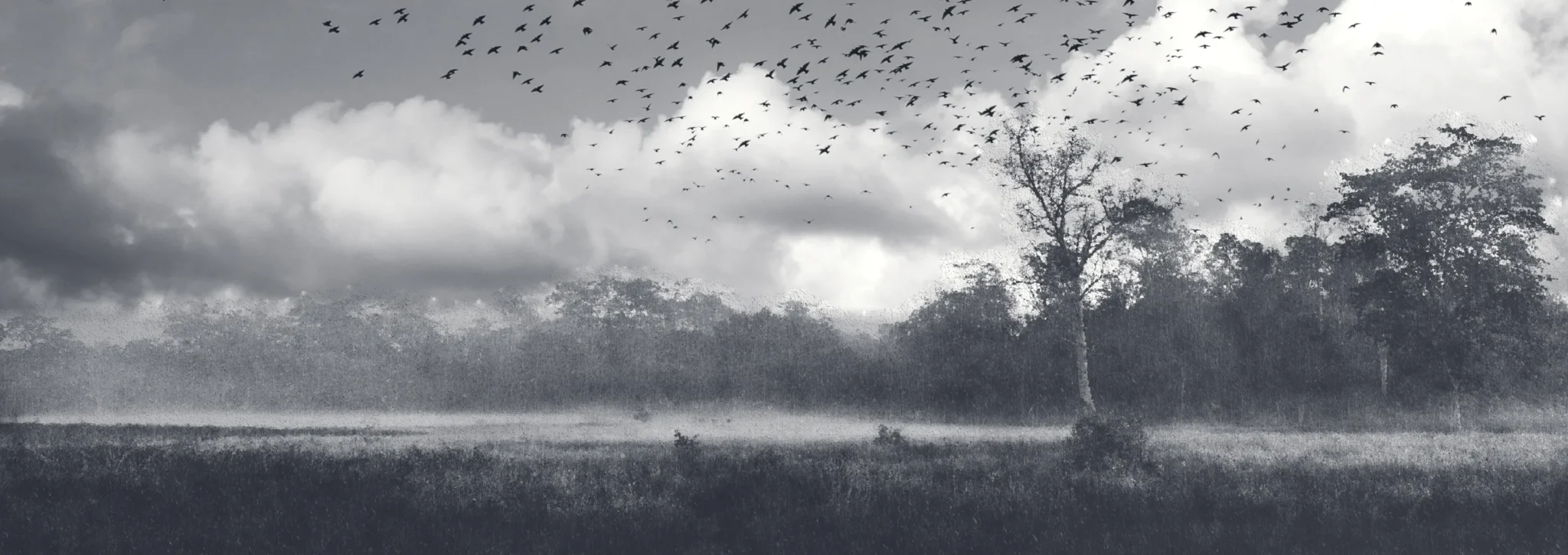 Rainy Stormy Misty Landscape, Stormy landscape, Stormy Black and White Fine Art Landscape Photograph.
