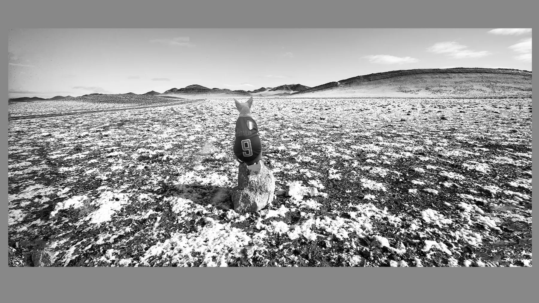 Dr Zenaidy Castro, General and Cosmetic Dentist in Melbourne Australia, Black and White Photographer. Abstract Artist, Australian woman Photographer, Art and Dentistry, Photography and Design, Creative Professionals, Painter-Photographers, Inspiring story of Female Entrepreneurs, 