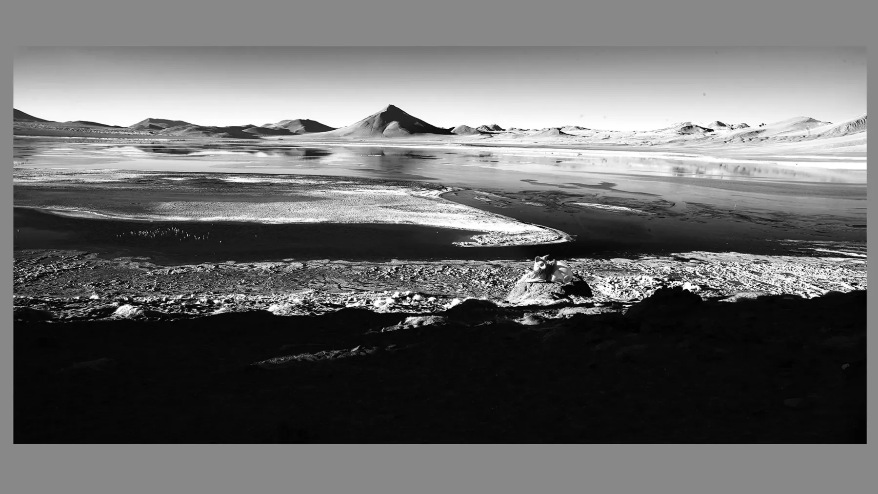 Elevate your interiors with museum-quality fine art. Shop our Luxury Fine Art Prints Collection designed for sophisticated living.