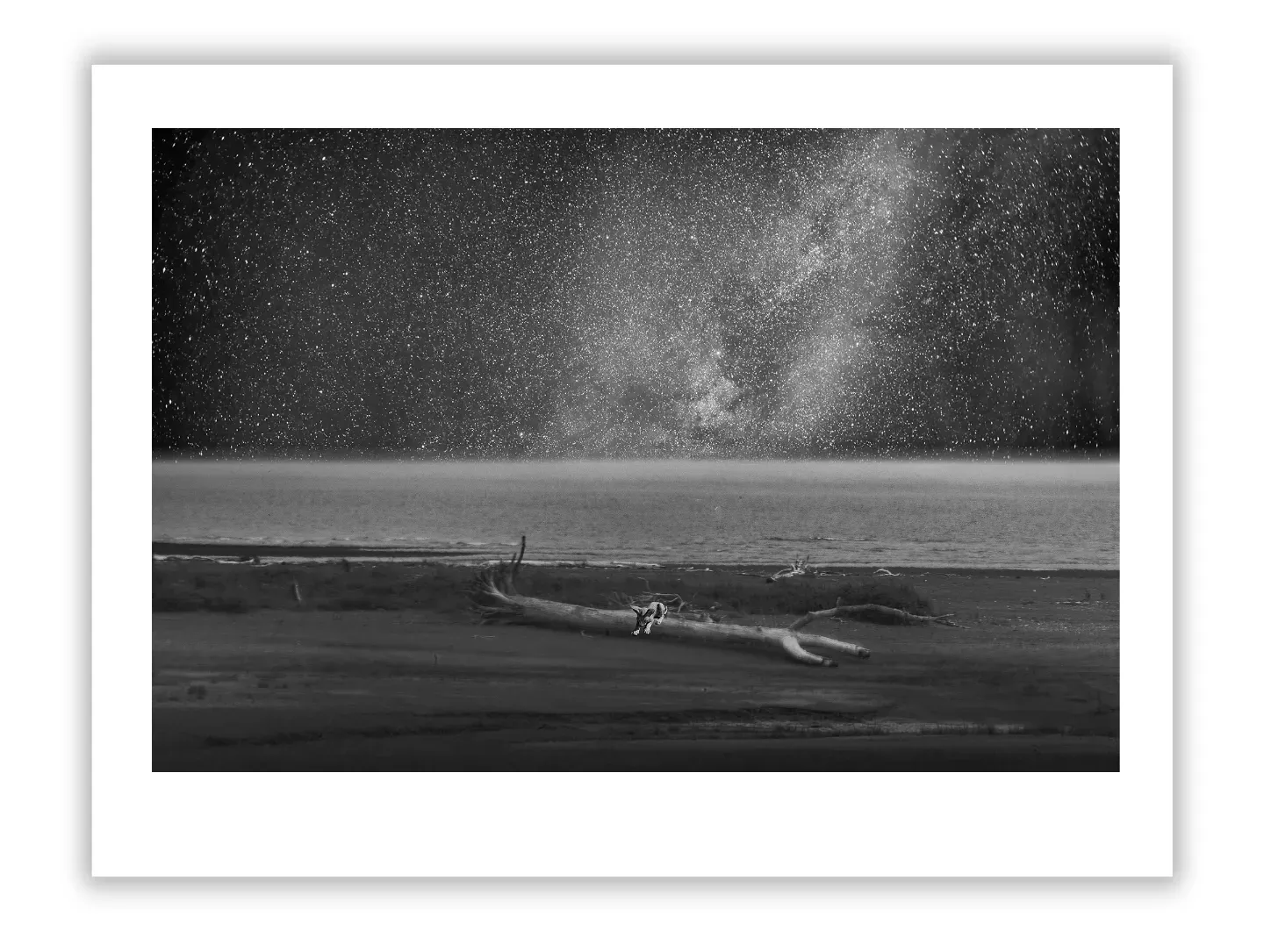 Discover Life Lessons from Ocean, Tides & Seascapes