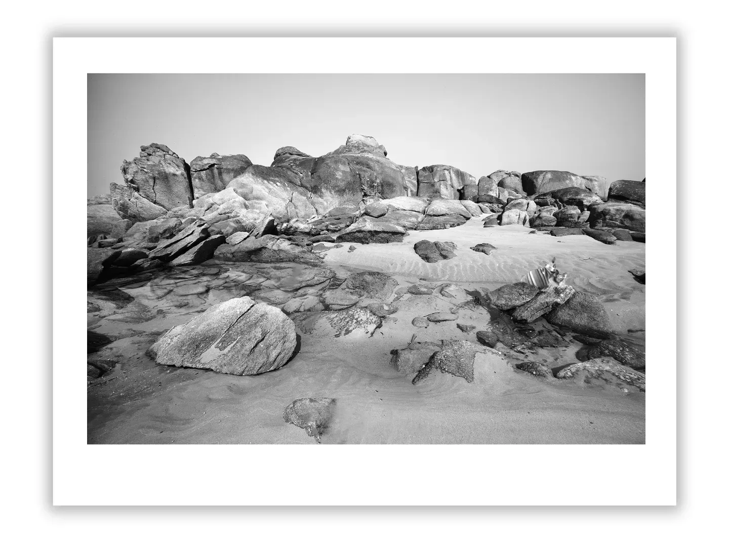 Life Lessons from Rocky Coast: Finding Strength in Nature