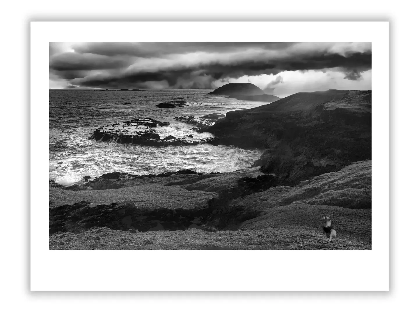 Beginner Art Collector Pitfalls