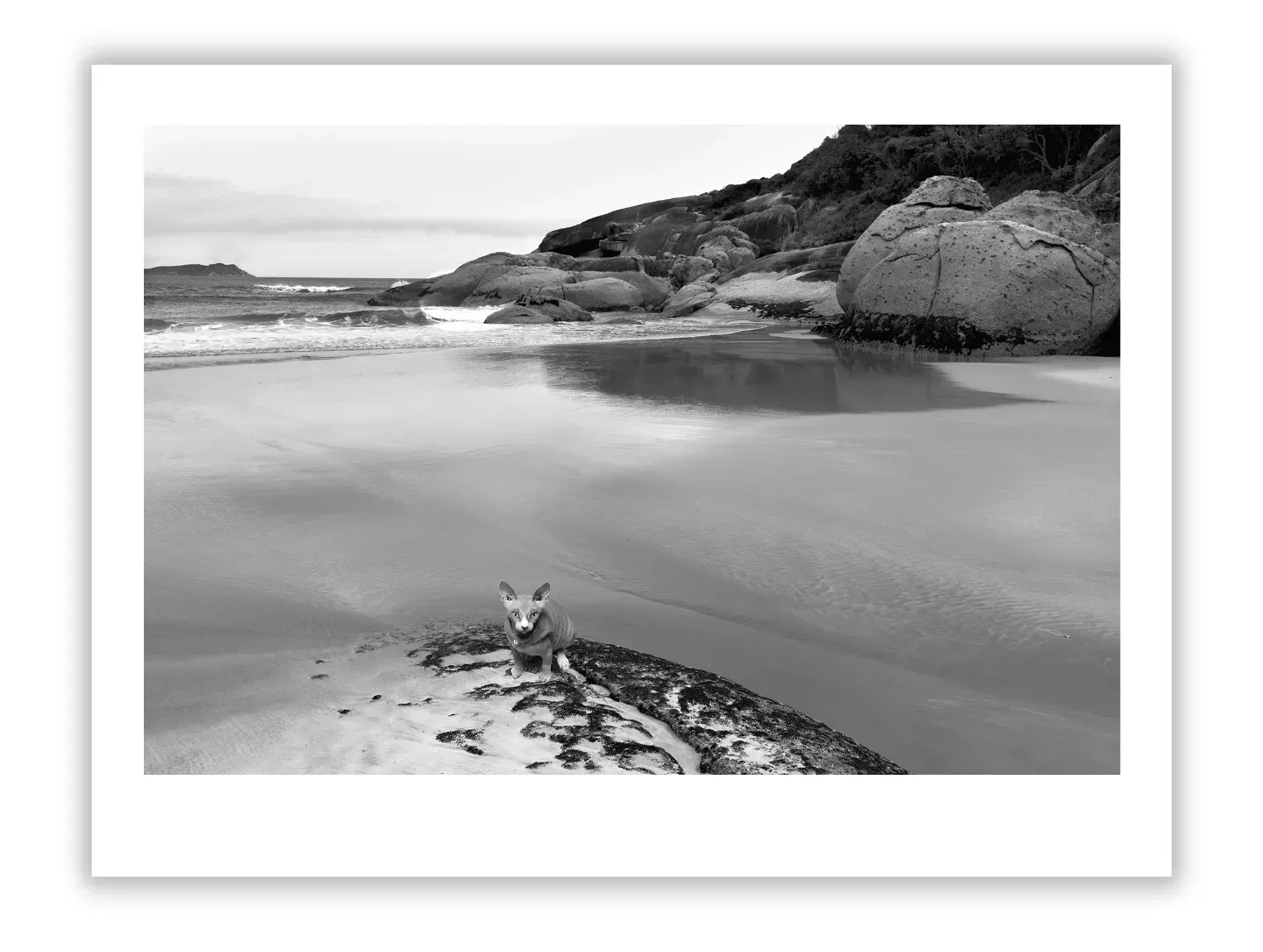 A Journey Through 1930s–70s Photography Legends