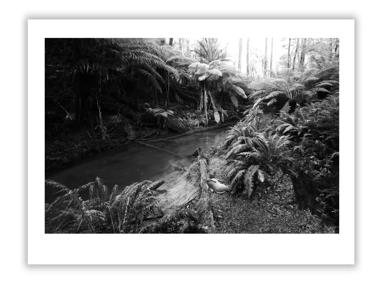 The Canvas of Trauma: 1940s Arts and Artists After War