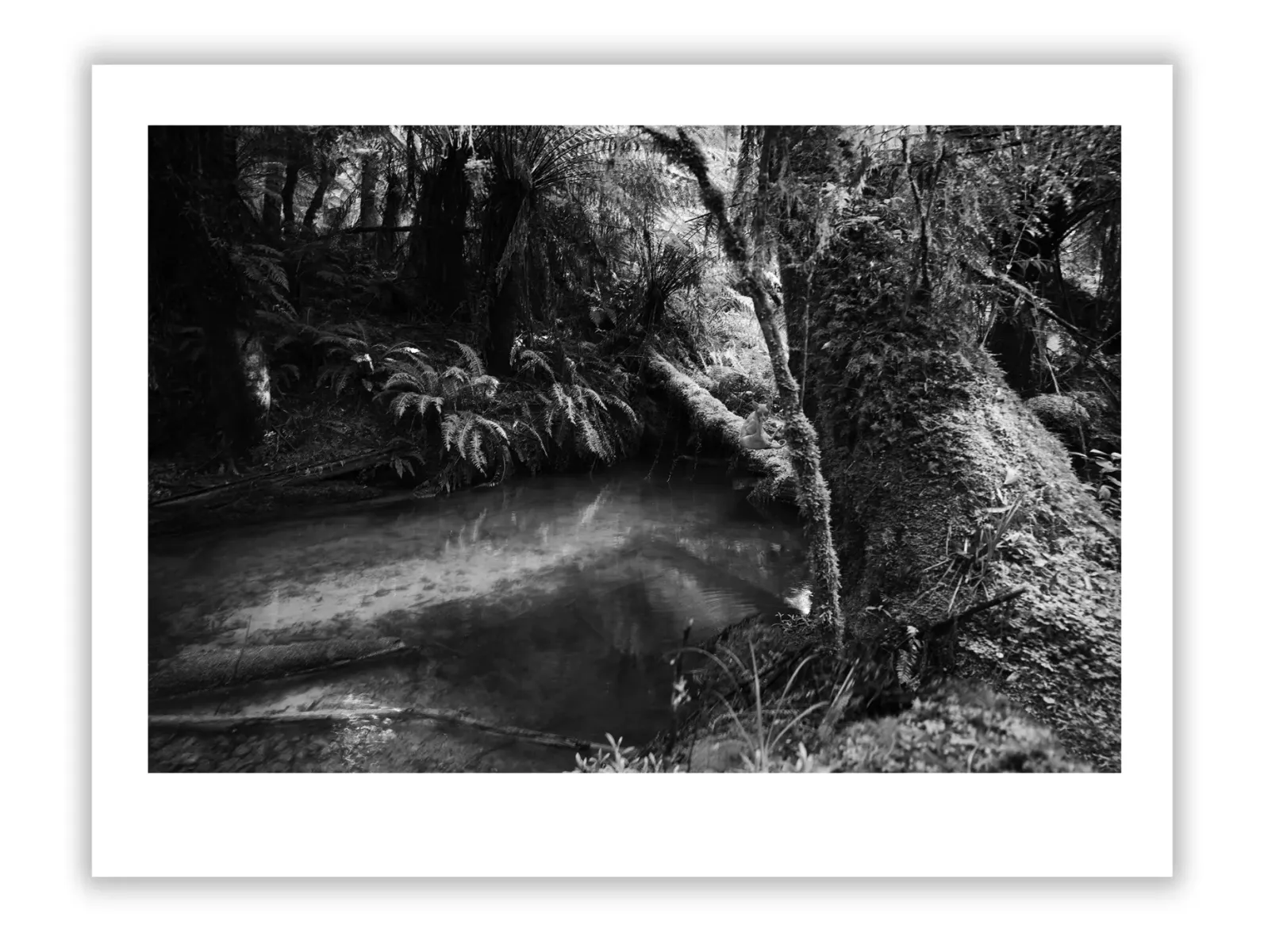 Private Art Collectors Who Shaped Art History