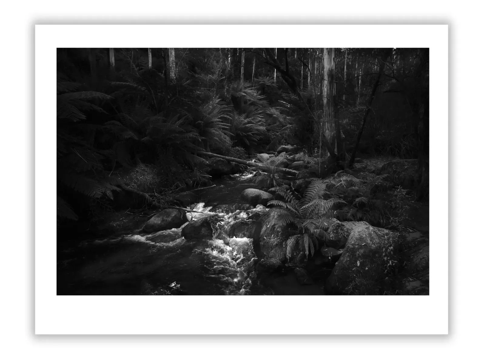 The Legacy of Peggy Guggenheim's 20th-Century Art Collection