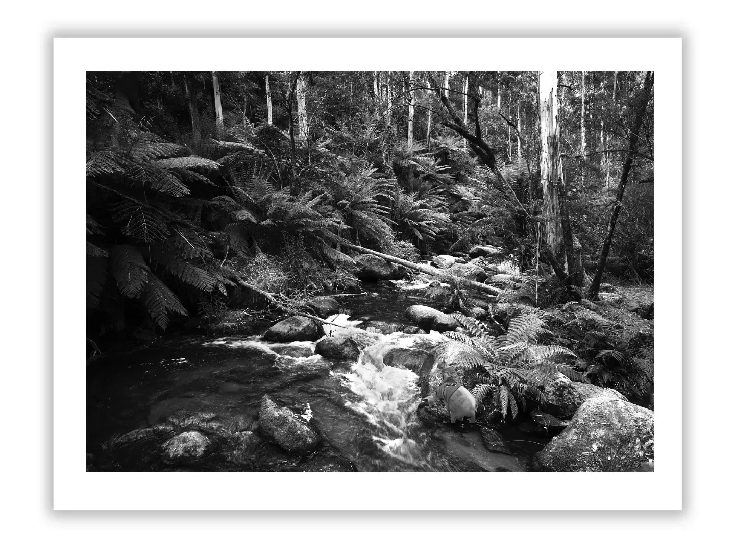 Let your healing spaces speak of comfort, compassion, and strength. Discover artworks from our Healthcare Art Collection, designed to uplift every heart.