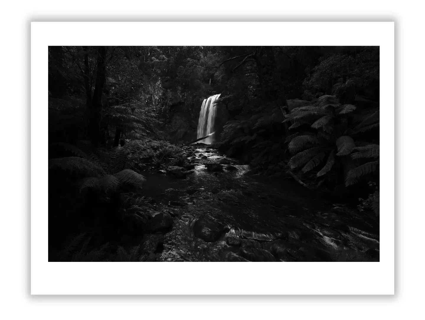 Private Art Collections That Became Museums