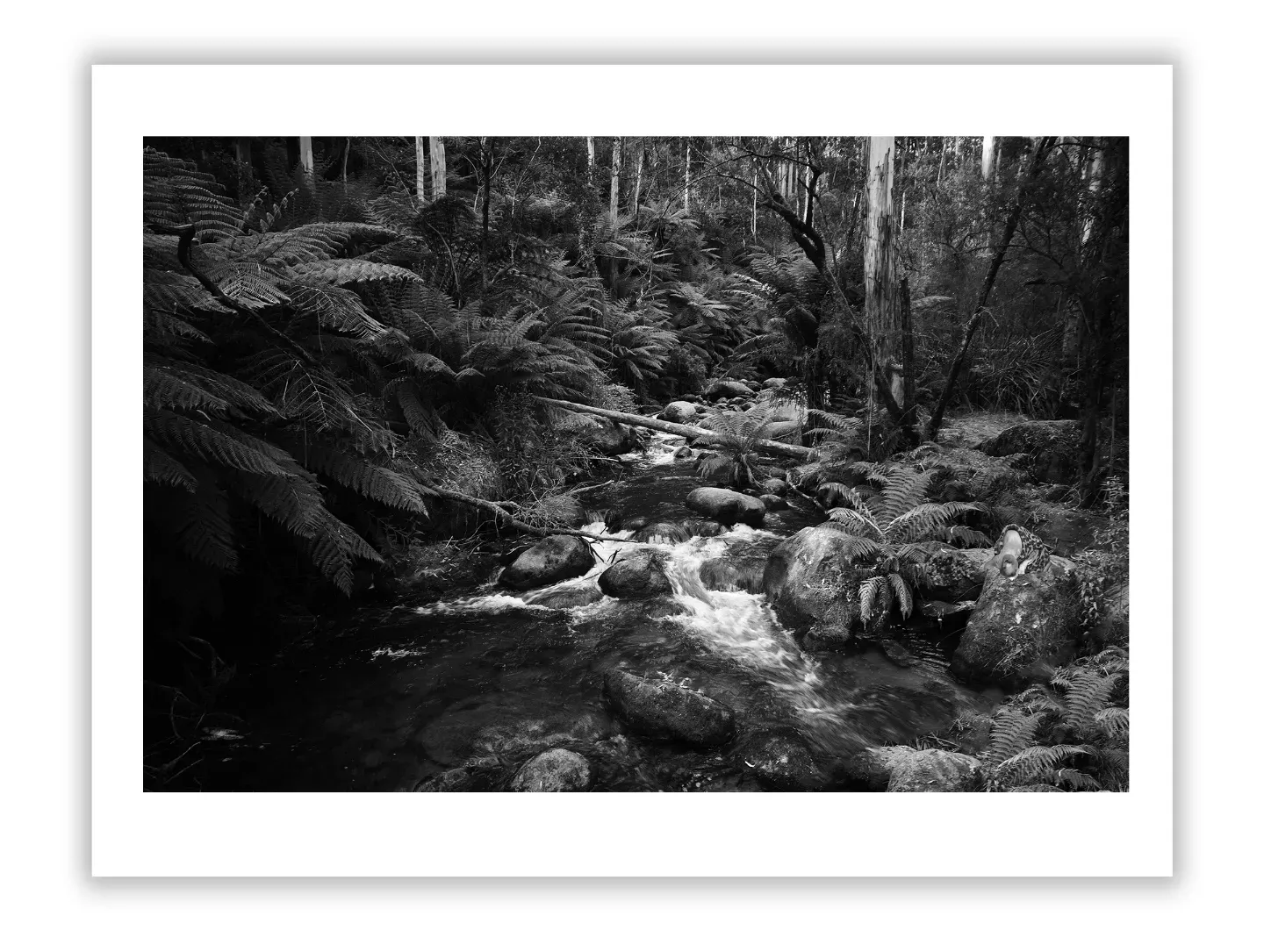 How Rarity, Condition & Artist Influence Art Prices