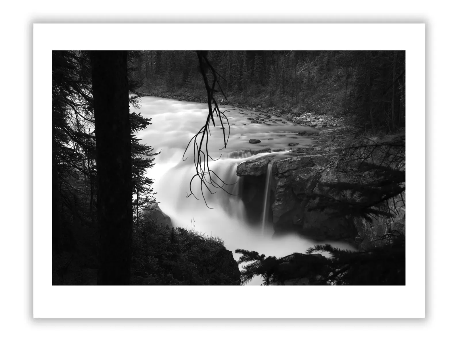 Let your healing spaces speak of comfort, compassion, and strength. Discover artworks from our Healthcare Art Collection, designed to uplift every heart.