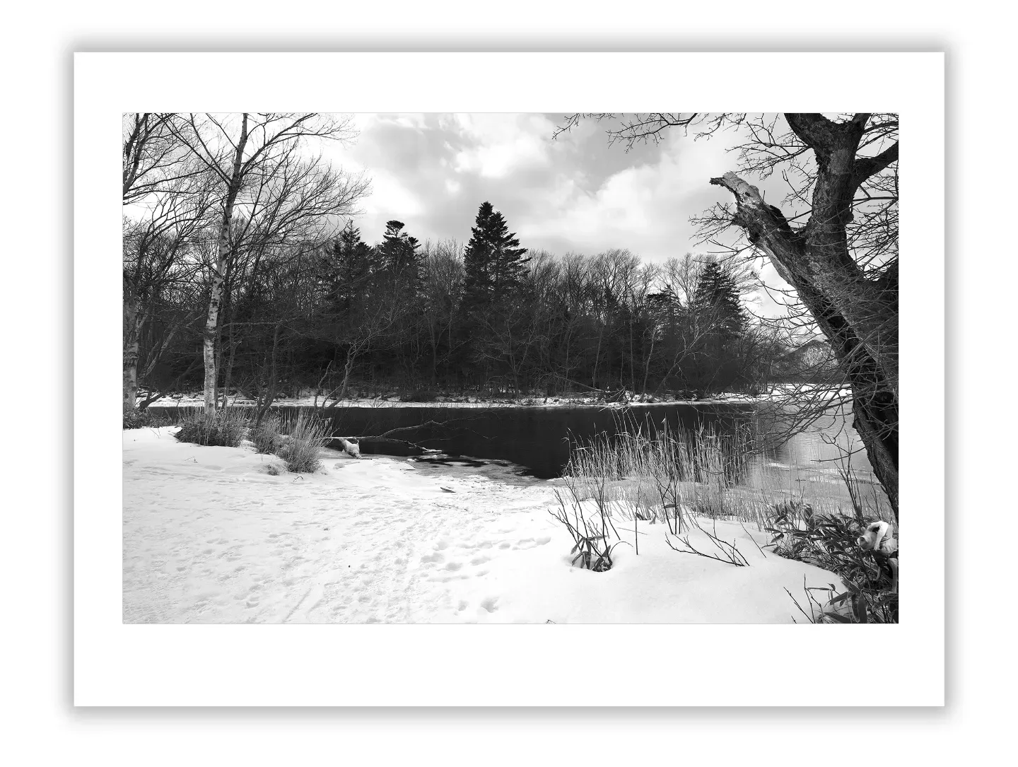 Crucial Steps to Protect and Preserve Your Art Collection