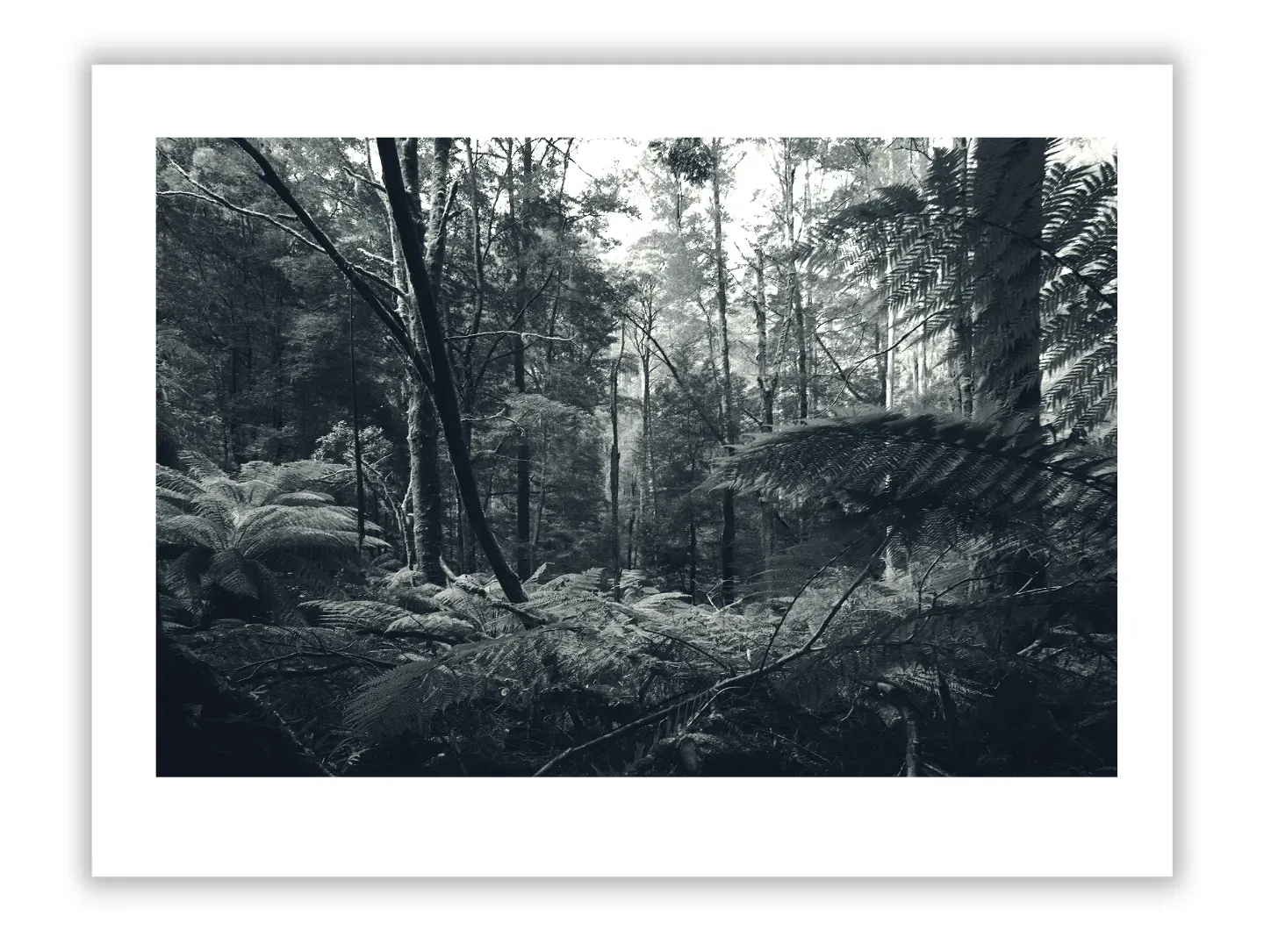 1.4-159 ORIENTATION Black and White