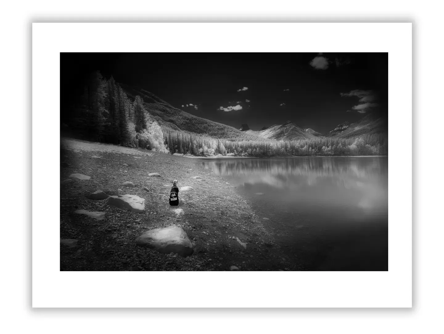 Life Lessons Learned from the River