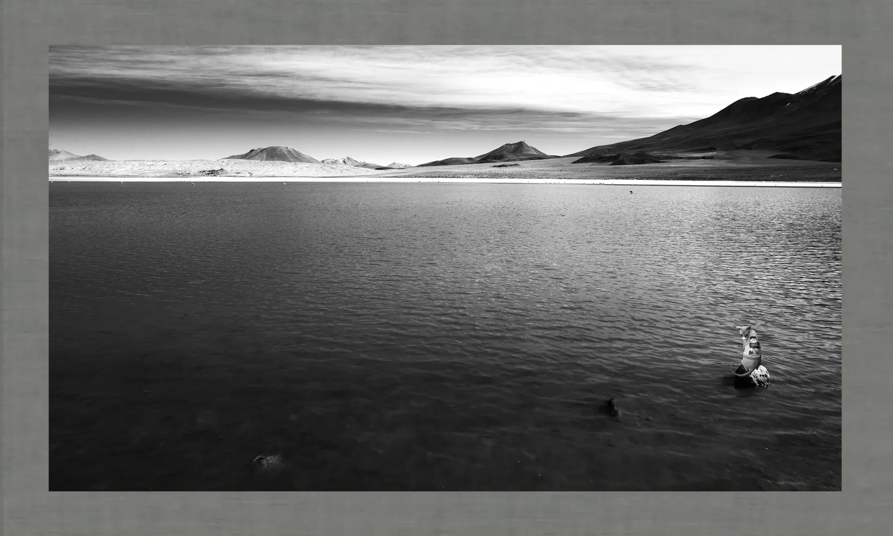 Luxury Art Decor | Elegant Fine Art Prints for Interiors