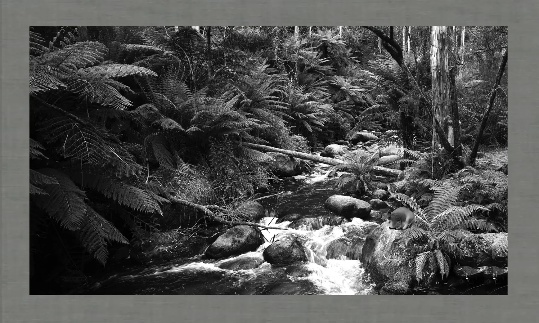 Barbara Kruger: Power, Text, and Image in Contemporary Art