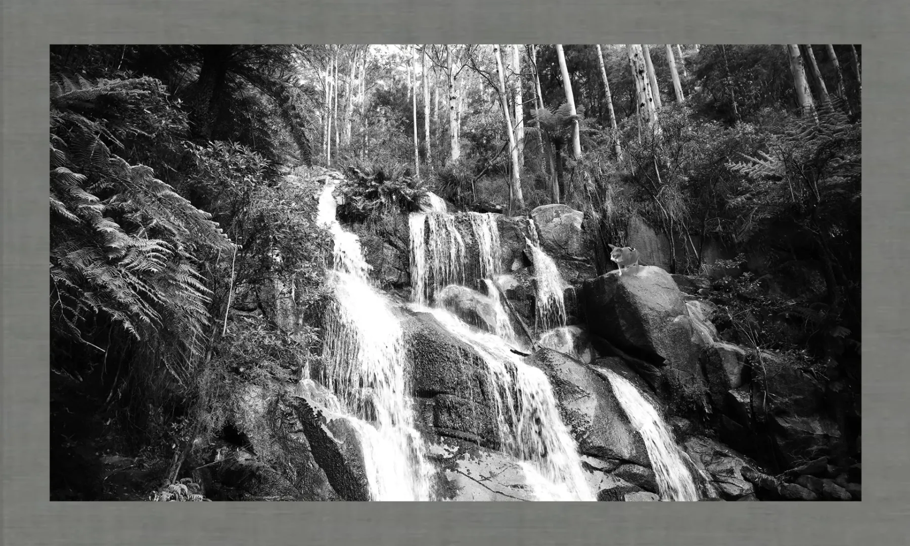 Hiroshi Sugimoto: Time, Memory, and the Essence of Light