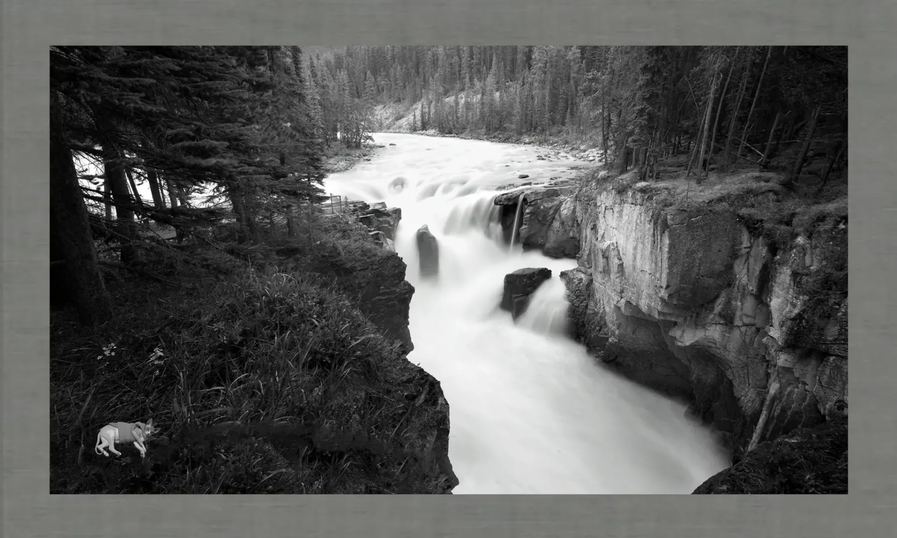 Alfred Stieglitz: Champion of Photography as Fine Art