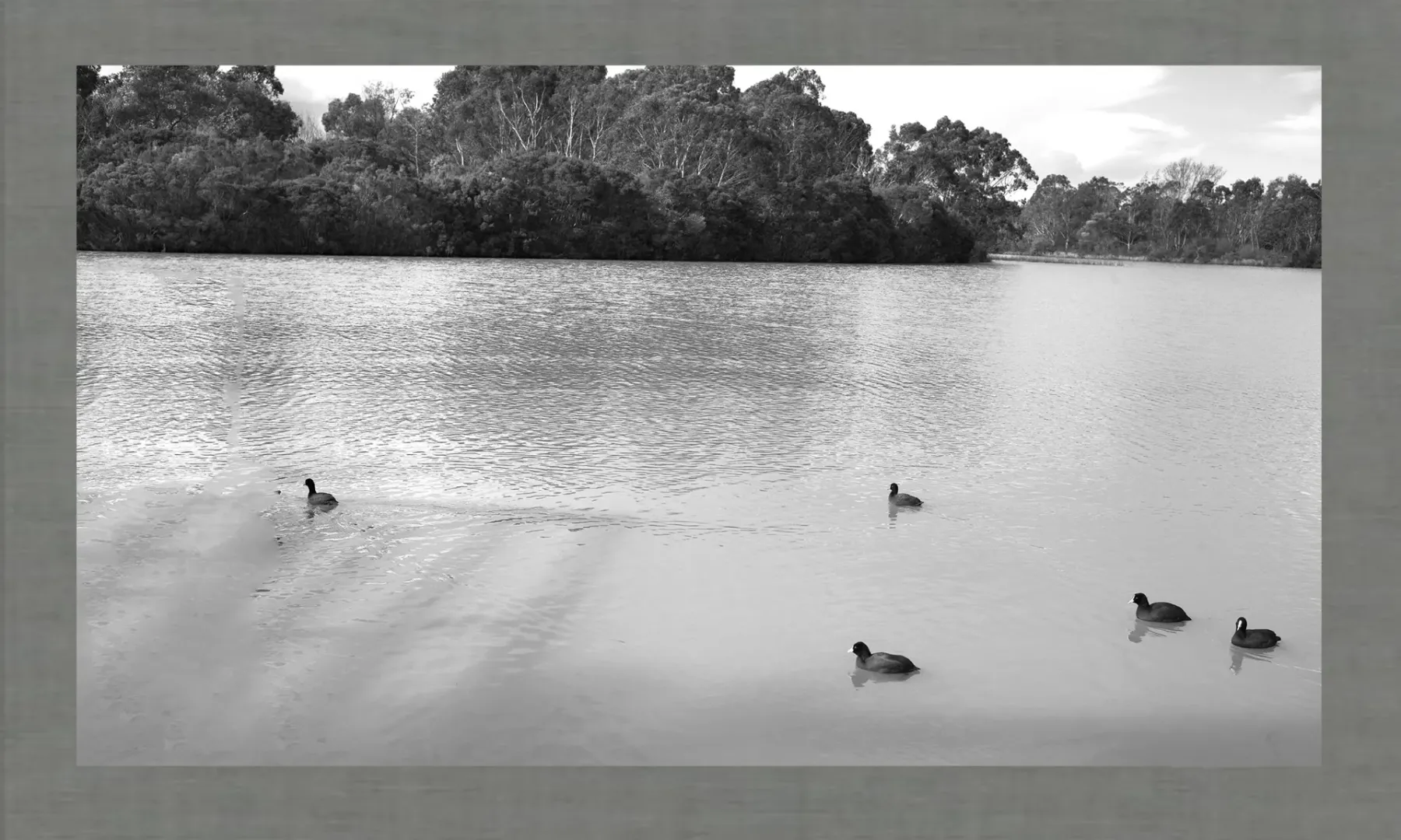 Richard Avedon: Defining Style in Portrait and Fashion