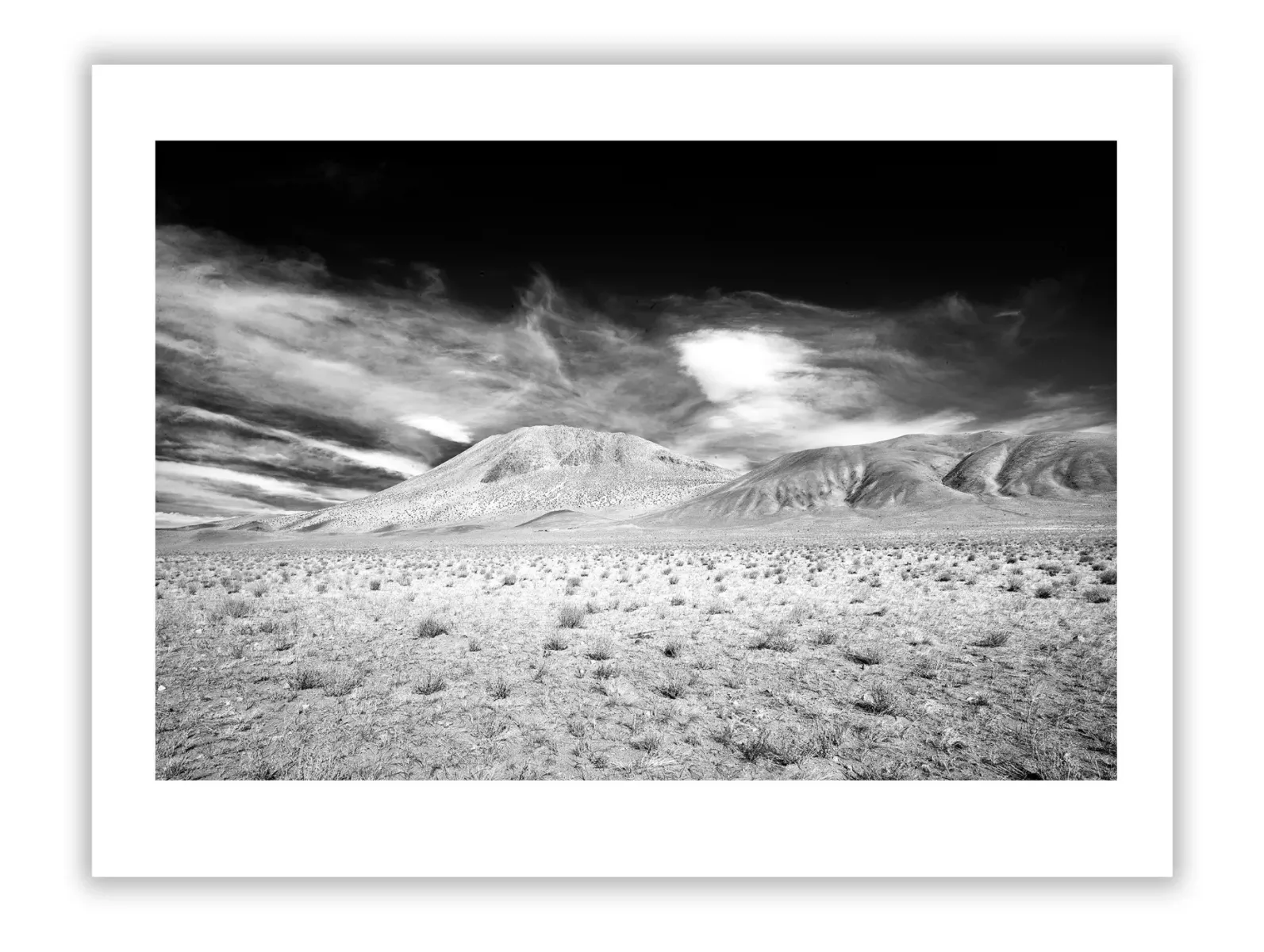 Photographic Legacy Planning for Artists and Collectors