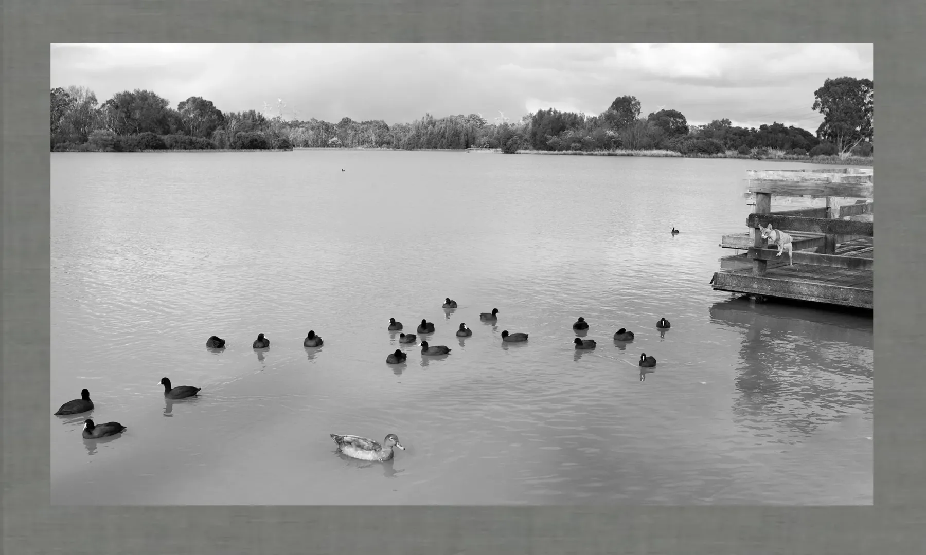 Edward Steichen: Modern Photography & Artistic Legacy