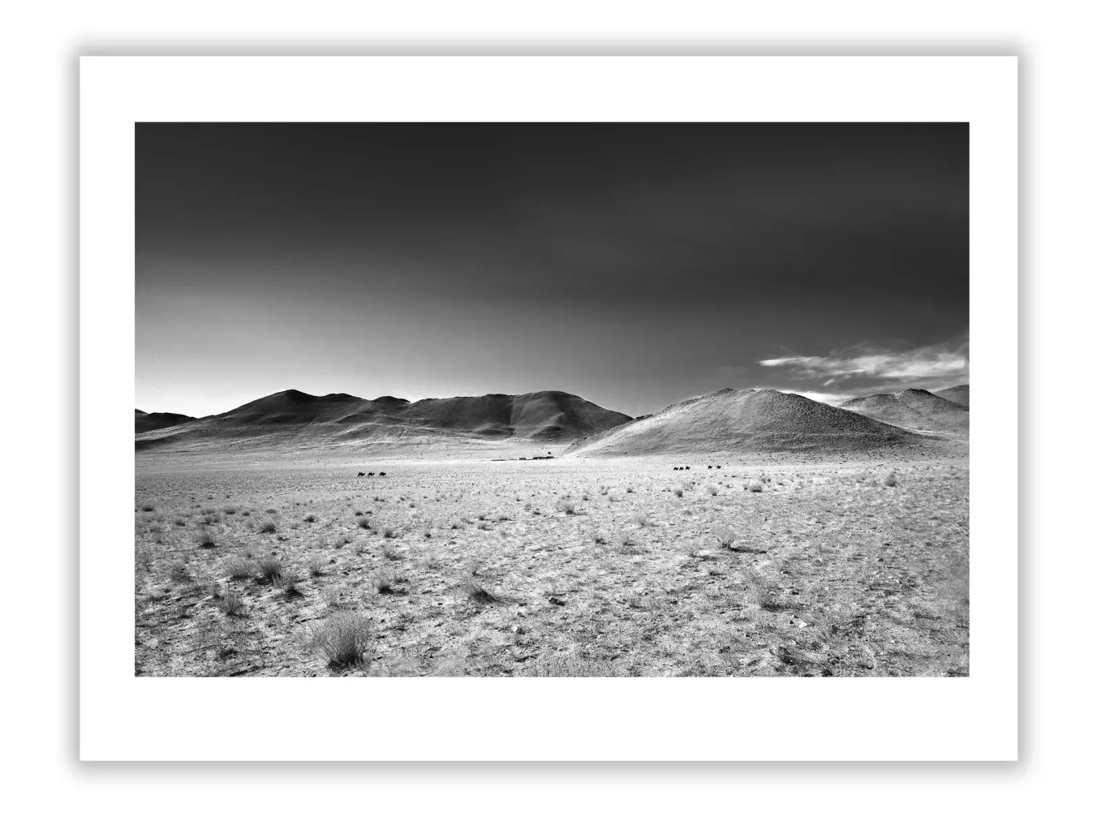 Desert Landscapes Lessons, How Artists Can Build a Thought Leadership Brand