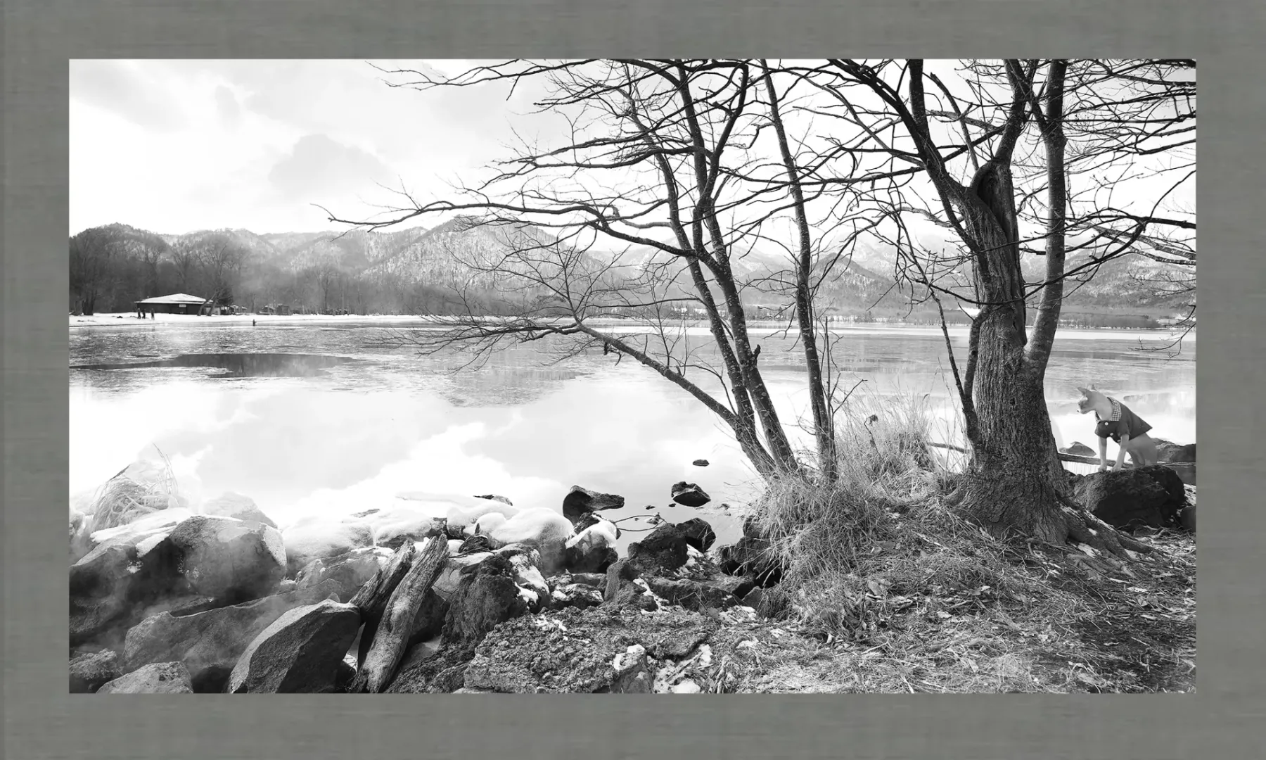 Irving Penn: Elegance and Precision in Studio Photography