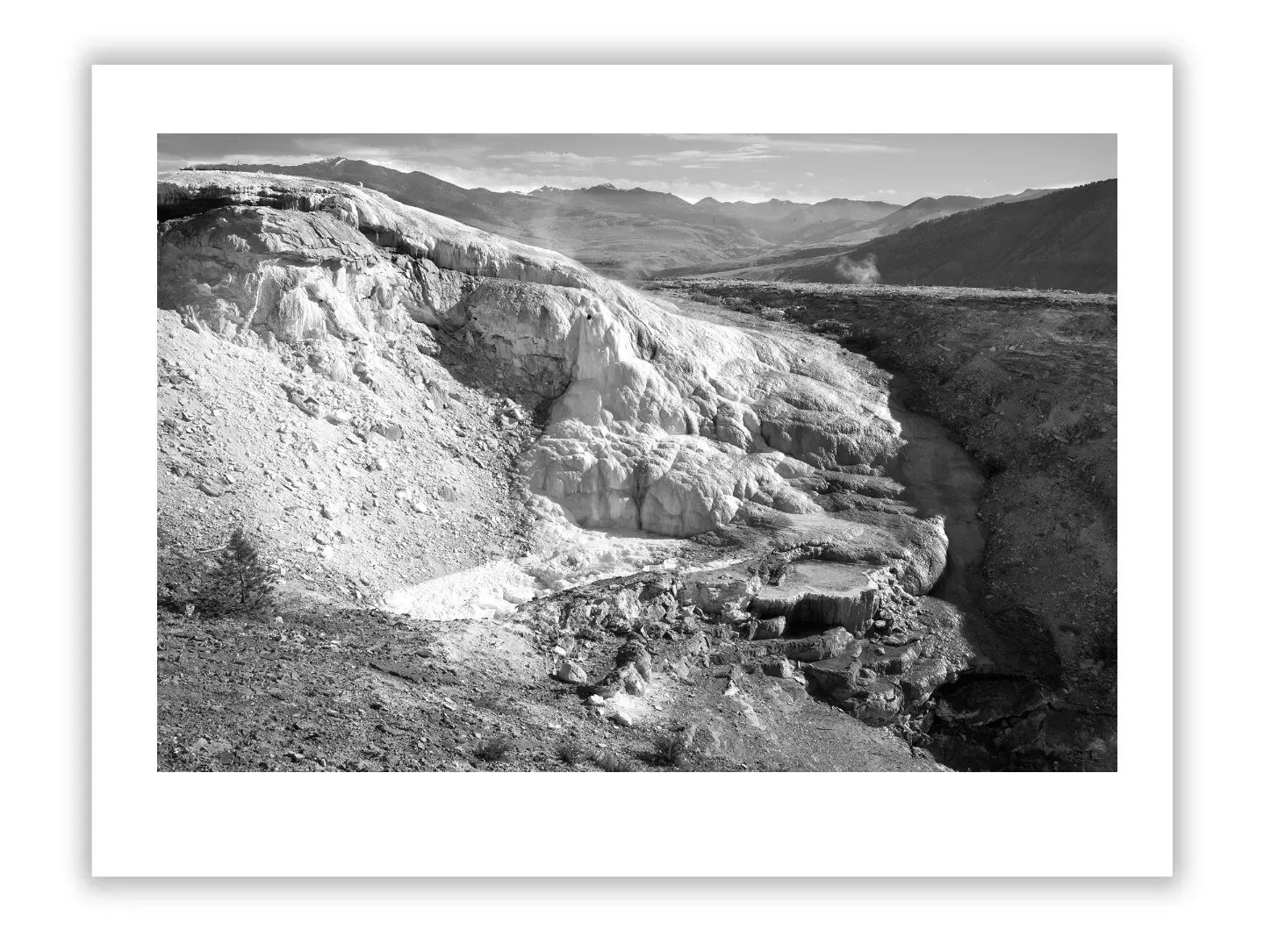 Garry Winogrand: Bold Street Vision That Shaped America