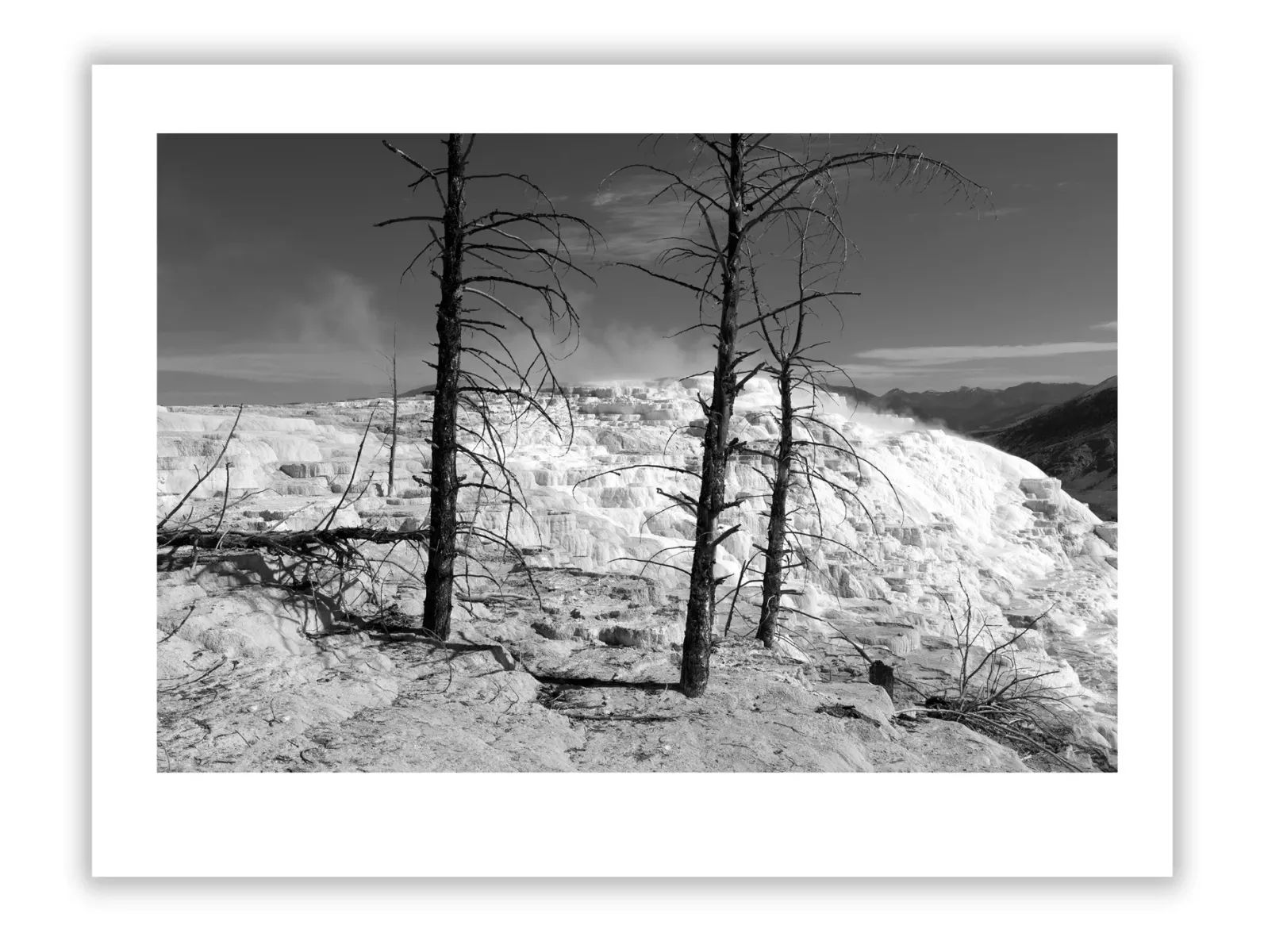 Harold Edgerton: Capturing the Invisible with Precision
