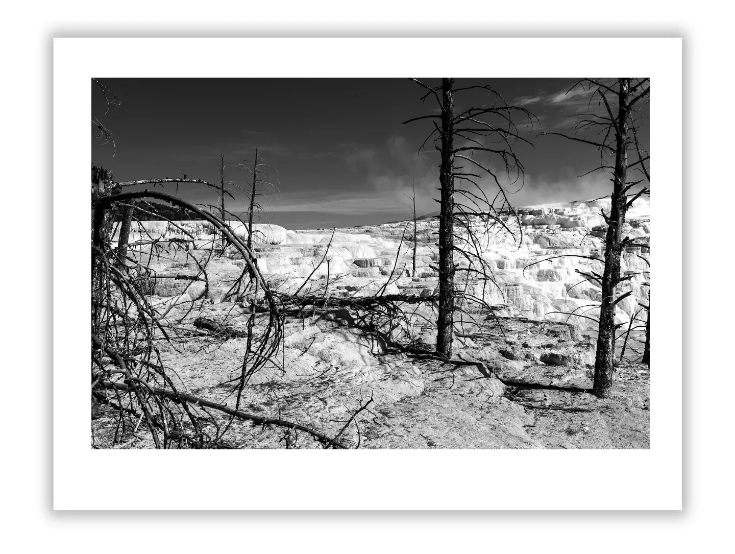 Robert Frank: Revolutionary Eye That Redefined America