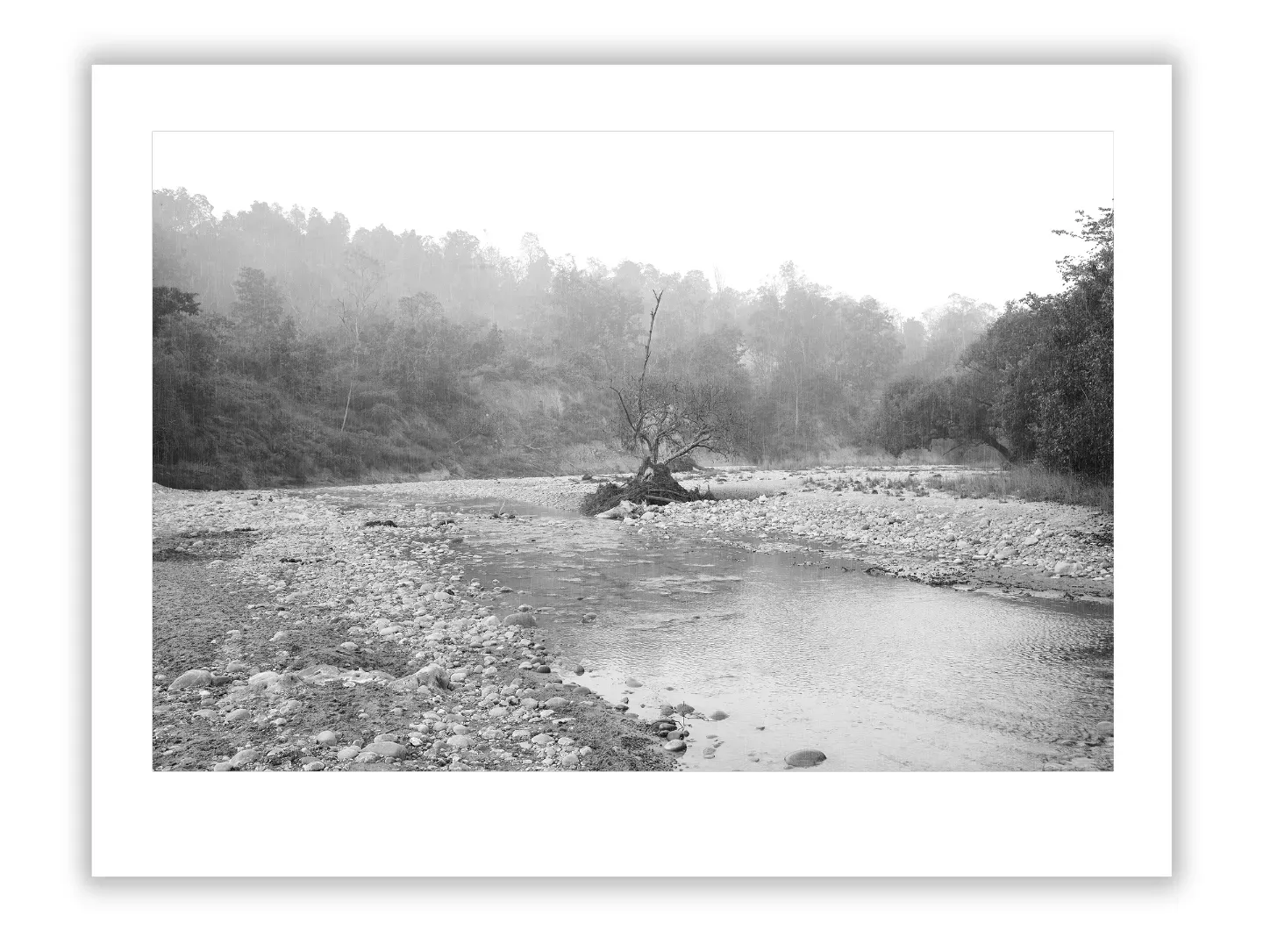 Jim Marshall: Rock & Roll Photography’s Ultimate Insider